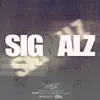 Cubique DJ CB - Signalz - Single